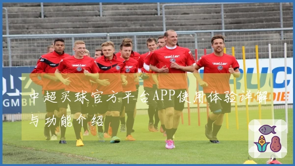 中超买球官方平台APP使用体验详解与功能介绍