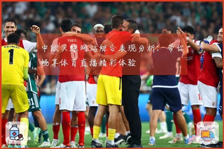 中欧买球网站综合表现分析:带你畅享体育直播精彩体验